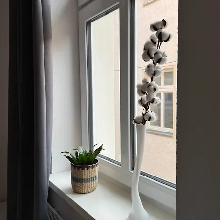 Elbstadtflair * Torgau